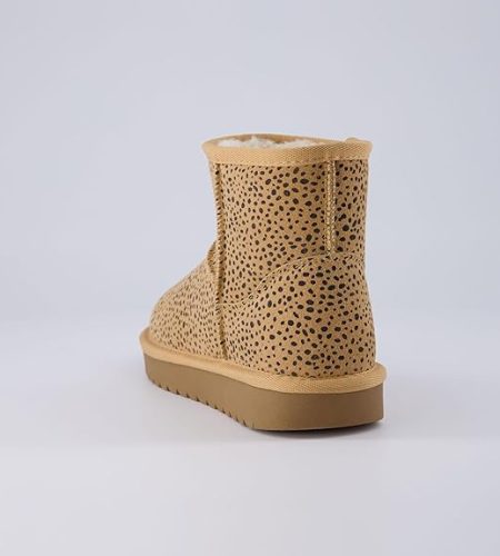 Cheetah4